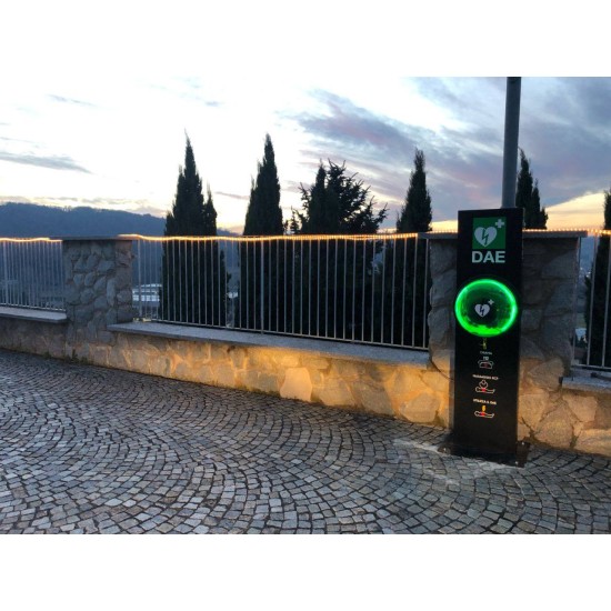 ШКАФ ЗА АВД ROTAID 24/7 OutdoorConnected ready